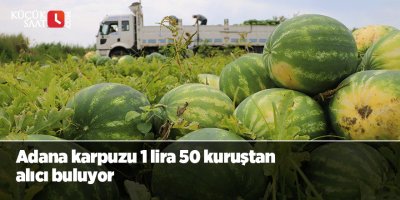 Adana karpuzu 1 lira 50 kuruştan alıcı buluyor