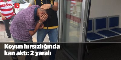 Koyun hırsızlığında kan aktı: 2 yaralı