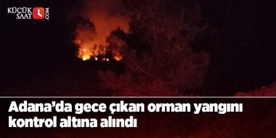 Adana’da gece çıkan orman yangını kontrol altına alındı