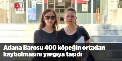 Adana Barosu 400 köpeğin ortadan kaybolmasını yargıya taşıdı