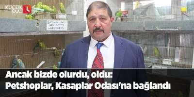 Ancak bizde olurdu, oldu: Petshoplar, Kasaplar Odası'na bağlandı