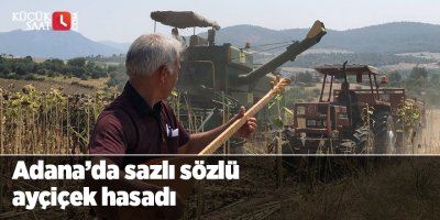 Adana’da sazlı sözlü ayçiçek hasadı