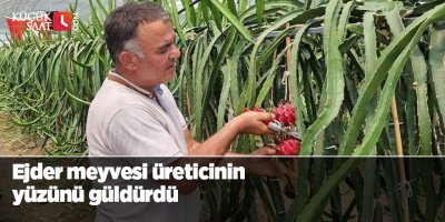 Ejder meyvesi üreticinin yüzünü güldürdü