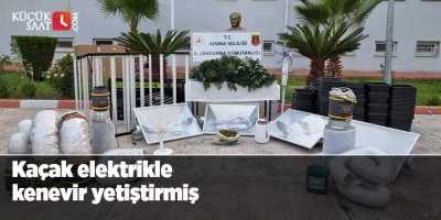 Kaçak elektrikle kenevir yetiştirmiş