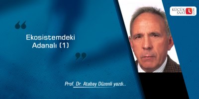 Ekosistemdeki Adanalı (1)