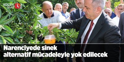 Narenciyede sinek alternatif mücadeleyle yok edilecek