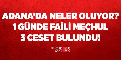 Adana'da neler oluyor? 1 günde faili meçhul 3 ceset bulundu!