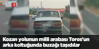 Kozan yolunun milli arabası Toros'un arka koltuğunda buzağı taşıdılar