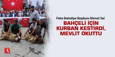 Bahçeli için kurban kestirdi, mevlit okuttu
