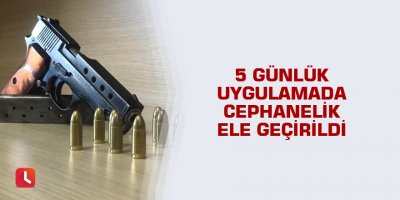 5 günlük uygulamada cephanelik ele geçirildi