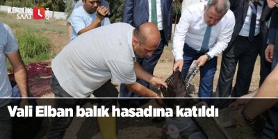 Vali Elban balık hasadına katıldı