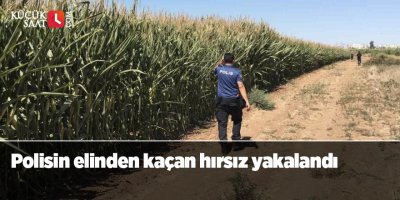 Polisin elinden kaçan hırsız yakalandı