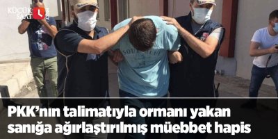 PKK’nın talimatıyla ormanı yakan sanığa ağırlaştırılmış müebbet hapis