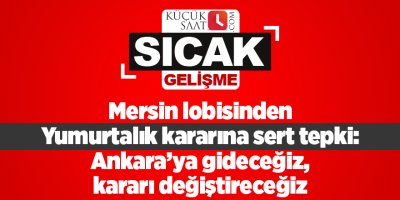 Mersin lobisinden Yumurtalık kararına sert tepki: Ankara’ya gideceğiz, kararı değiştireceğiz