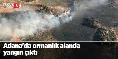 Adana'da ormanlık alanda yangın çıktı