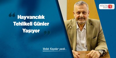 Hayvancılık Tehlikeli Günler Yaşıyor