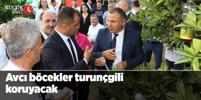 Avcı böcekler turunçgili koruyacak