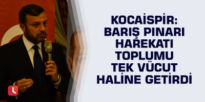 Kocaispir: Barış Pınarı Harekatı toplumu tek vücut haline getirdi