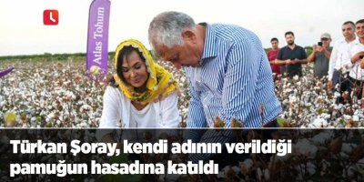 Türkan Şoray, kendi adının verildiği pamuğun hasadına katıldı