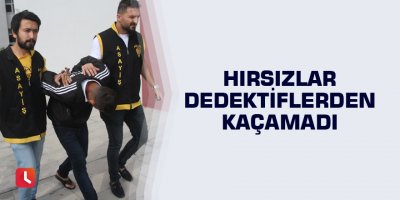 Hırsızlar dedektiflerden kaçamadı
