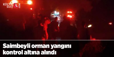 Saimbeyli orman yangını kontrol altına alındı