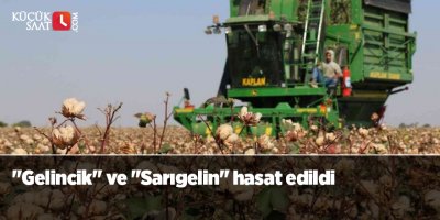 "Gelincik" ve "Sarıgelin" hasat edildi