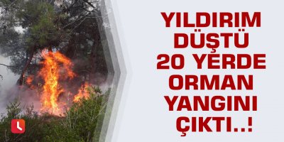 Yıldırım düştü 20 yerde orman yangını çıktı..!