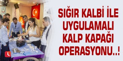 Sığır kalbi ile uygulamalı kalp kapağı operasyonu..!