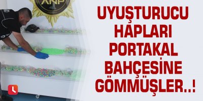 Uyuşturucu hapları portakal bahçesine gömmüşler..!