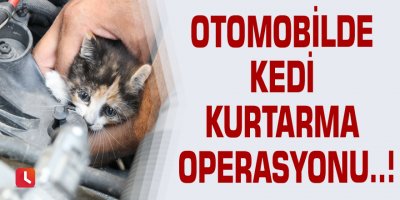 Otomobilde kedi kurtarma operasyonu..!