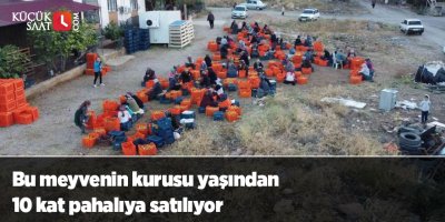 Bu meyvenin kurusu yaşından 10 kat pahalıya satılıyor