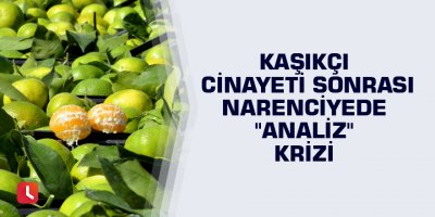 Kaşıkçı cinayeti sonrası narenciyede "analiz" krizi