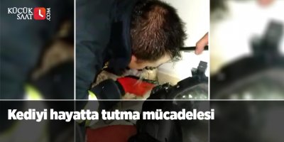Kediyi hayatta tutma mücadelesi