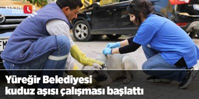 Yüreğir Belediyesi kuduz aşısı çalışması başlattı
