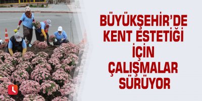 Büyükşehir’de kent estetiği için çalışmalar sürüyor