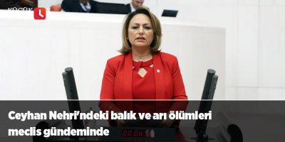 Ceyhan Nehri'ndeki balık ve arı ölümleri meclis gündeminde