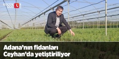 Adana’nın fidanları Ceyhan’da yetiştiriliyor