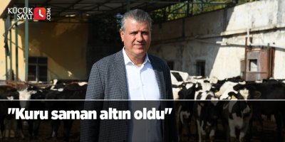 "Kuru saman altın oldu"
