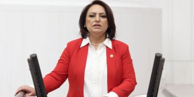 Şevkin: Türkiye, yatırım fakiri oldu!