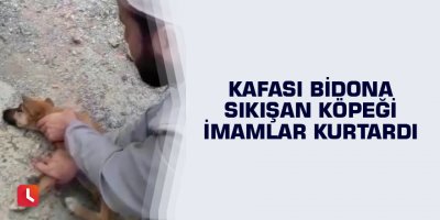 Kafası bidona sıkışan köpeği imamlar kurtardı