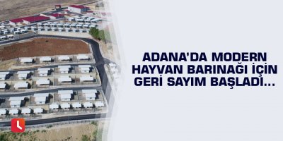 Adana’da modern hayvan barınağı için geri sayım başladı…