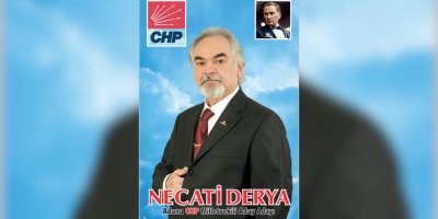 Necati Derya