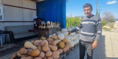 Ramazan’ın gözde tatlısının yapıldığı bal kabağına talep arttı