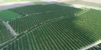 Zirai don Adana’yı teğet geçebilir