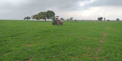 Adana’da meralarda ilkbahar gübrelemesi yapıldı
