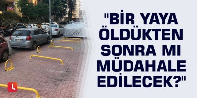 "Bir yaya öldükten sonra mı müdahale edilecek?"
