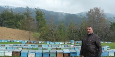 Devletten 30 kovan arı aldı, 230 kovana çıkardı