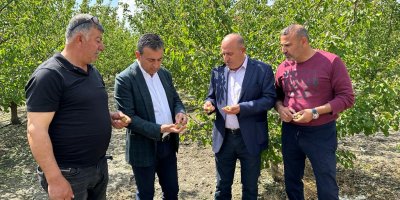 CHP'li Bulut: Çiftçinin emeğini dolu vurdu, zarar karşılanmadı