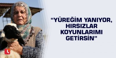 “Yüreğim yanıyor, hırsızlar koyunlarımı getirsin”