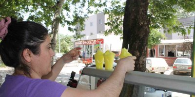 Limon, çilek ve kividen sonra lavanta dondurması üretimi de başladı